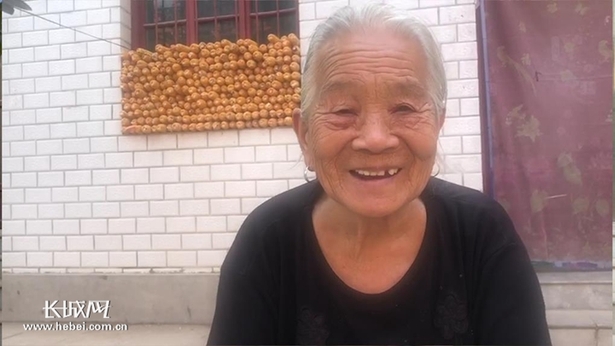为农民上保险 魏县吴辛寨村脱贫攻坚防返贫