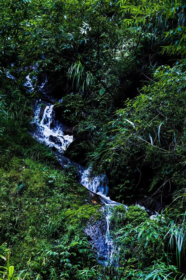 好山好水好凉快丨眉山丹棱黄金峡：四季皆美景_fororder_黄金峡美景1-供图-丹棱县委宣传部
