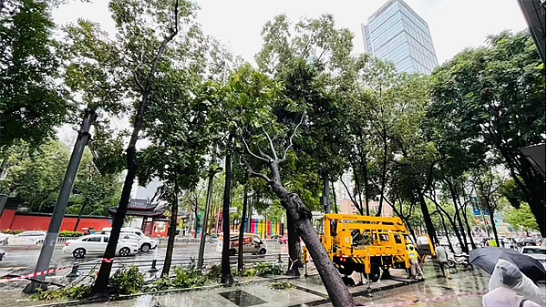 暴雨突袭致树倒挡路 成都园林“应急队”迅速处置_fororder_未标题-1