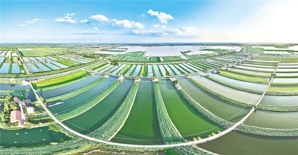 湖北公安县崇湖湿地风景如画_fororder_01