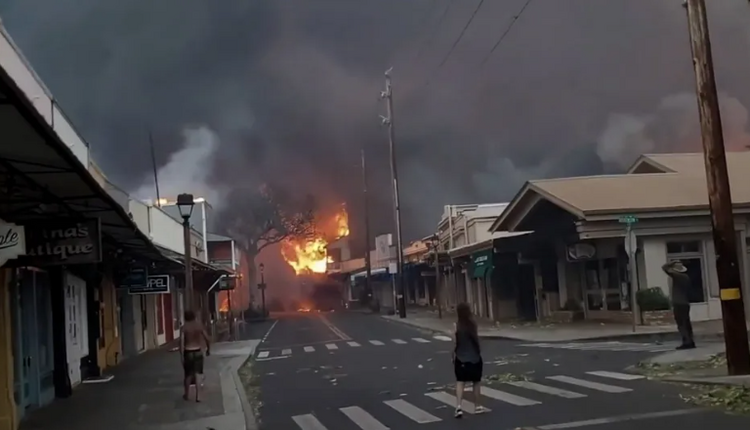 夏威夷山火已致50余人死亡 大量游客紧急逃离火海