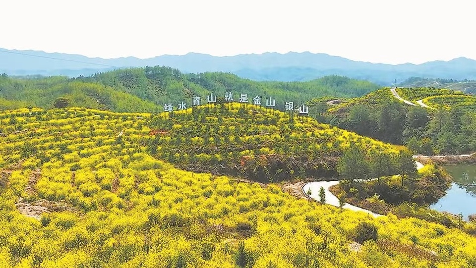 图片默认标题_fororder_WechatIMG306