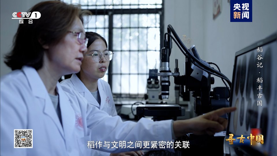 探秘稻作文明 《寻古中国·稻谷记》开播