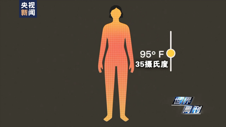 世界周刊丨全球多地再迎高温“炙烤” 气候危机亟待解决