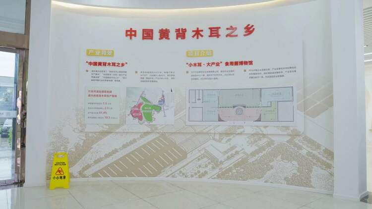 （转载）时代光影 百部川扬丨德阳什邡：创新驱动 黄背木耳产业涅槃重生