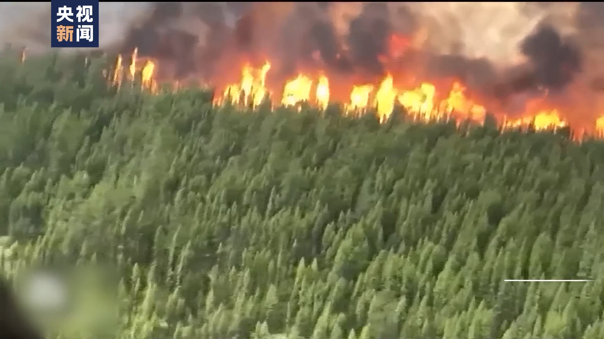 世界周刊丨全球多地再迎高温“炙烤” 气候危机亟待解决