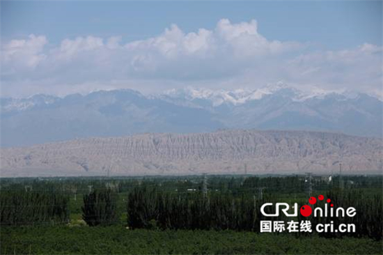 难忘金色戈壁上的这片绿和那抹白 ——孟加拉国媒体人眼里的新疆_fororder_image004