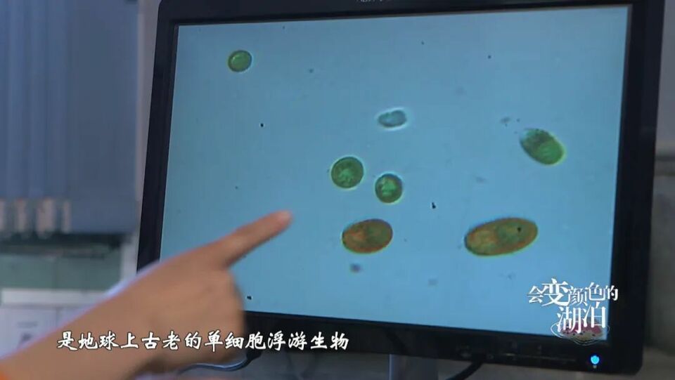 《会变颜色的湖泊》揭秘运城盐湖成因与颜色之谜