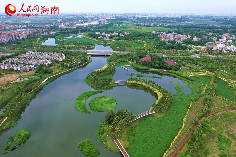 海口：生态修复绿水绕城 绘诗意栖居画卷