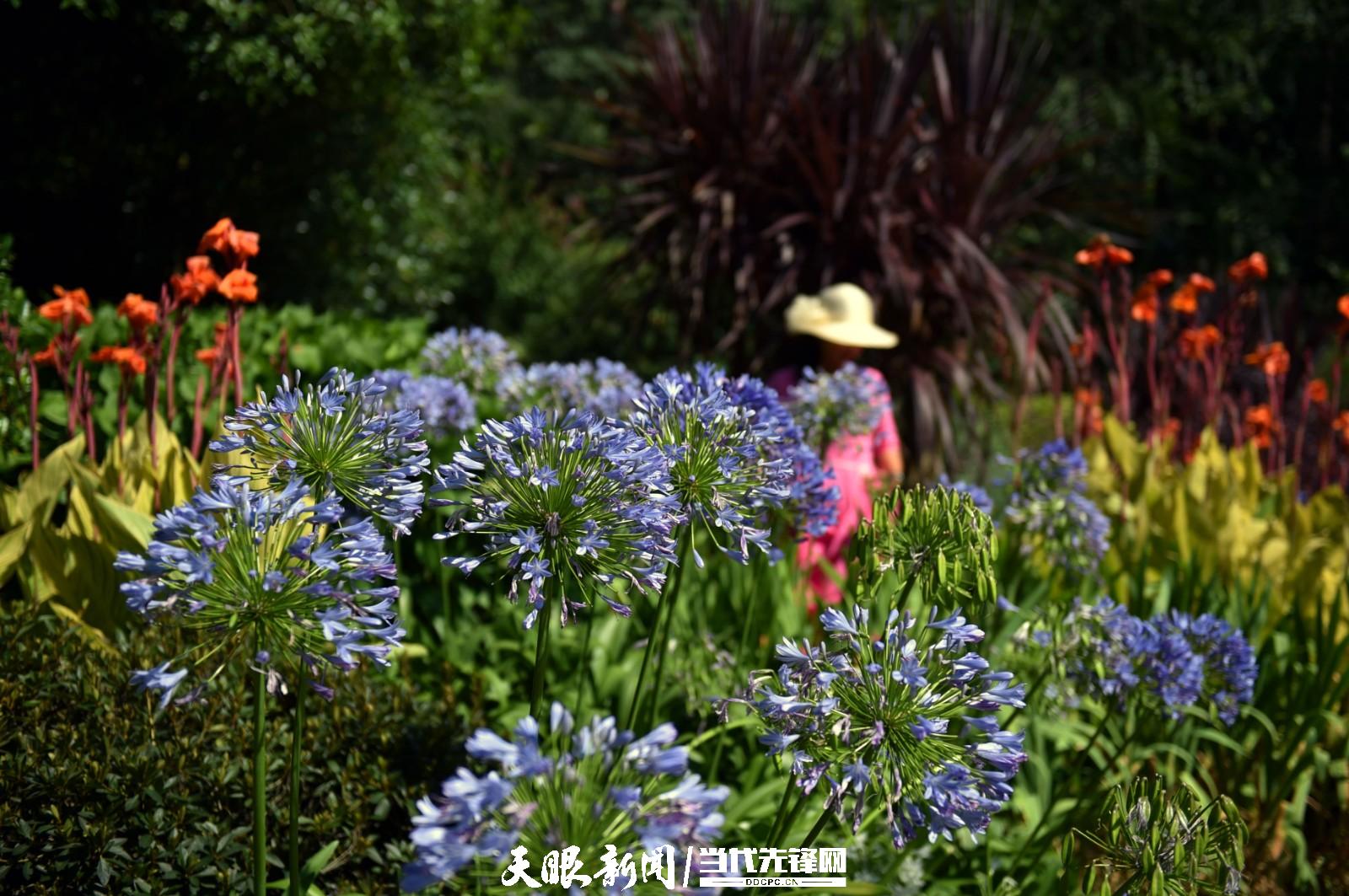 爽爽贵阳 盛夏诗意