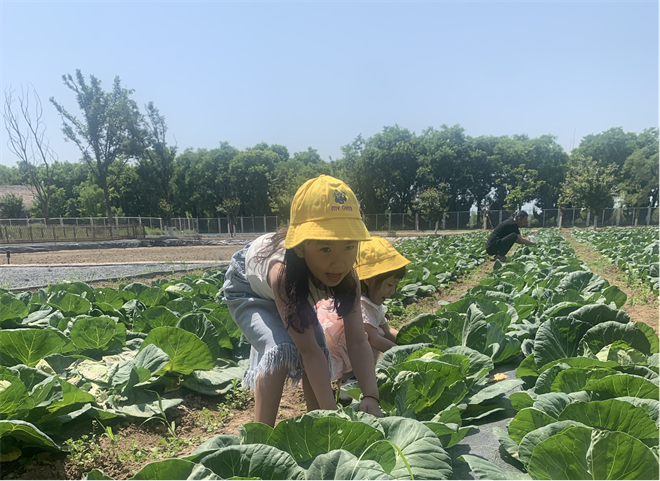 沣东现代都市农业示范园：多点探索 打造农文旅融合发展新样板_fororder_图片20