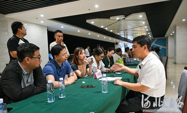 高质量发展调研行 | 曹妃甸港区1至6月份货物吞吐量同比增长12.47%