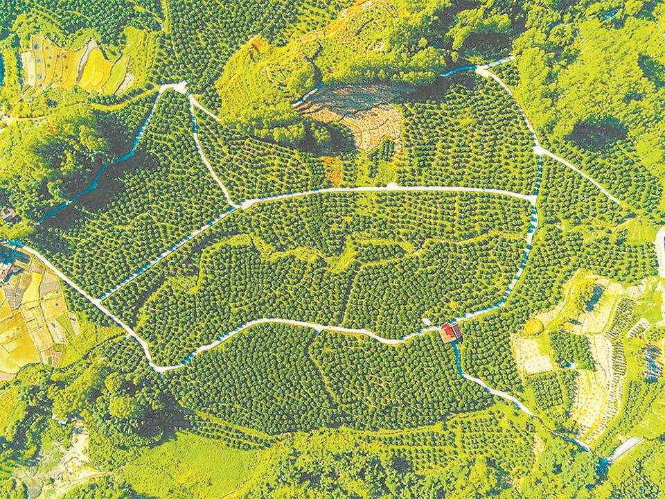 莆田仙游：积极推动校地共建合作 加快建设宜居宜业和美乡村_fororder_de1ae43a-cf96-44a8-9e14-6441d7201d1d