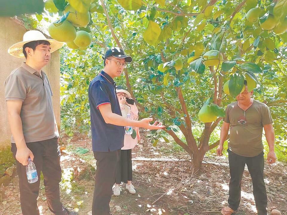 莆田仙游：积极推动校地共建合作 加快建设宜居宜业和美乡村_fororder_f21efea3-b707-4fc5-b641-d7a9fe673de6