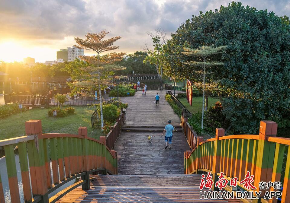 屯昌：湿地公园成为市民消暑好去处