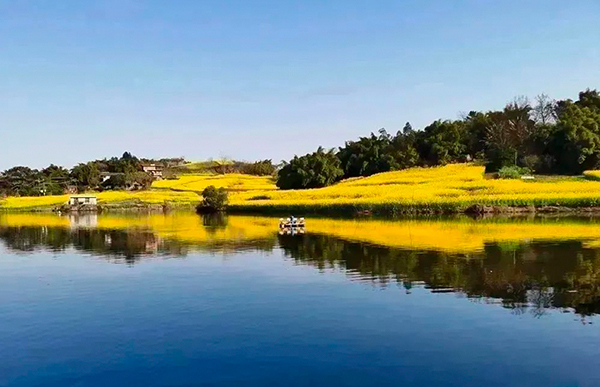 自贡贡井区：活力澎湃乡野间 艾叶镇六房村打造乡村旅游“好风景”_fororder_六房村美景