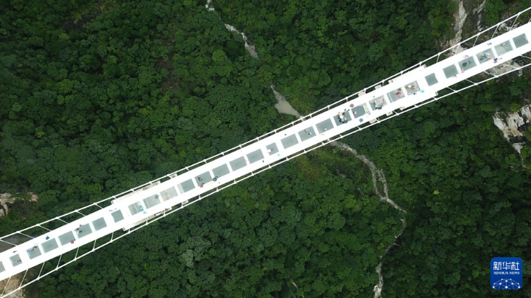 湖南张家界：旅游业持续“升温” 景区迎客流高峰_fororder_1