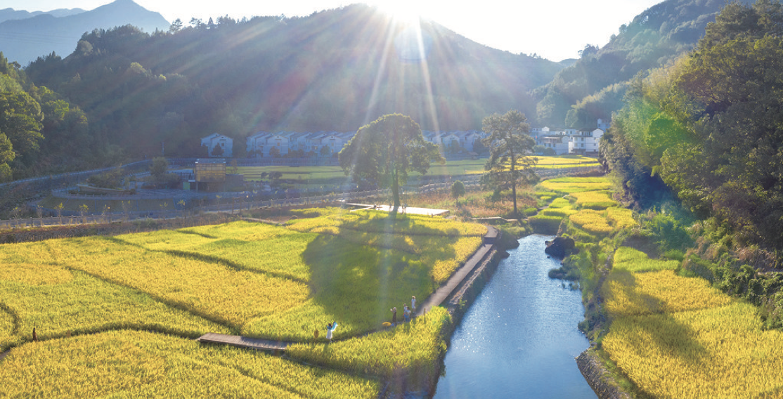 宁德：一角一隅皆是景 美丽乡村入画来_fororder_WX20230829-092548@2x