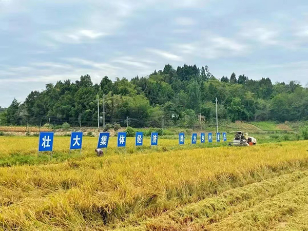 成都大运会开幕式火炬手蒋青淞：把大运精神带回基层 把乡村建设得更美好_fororder_带领蟠龙村发展村集体经济-供图-简阳市融媒体中心