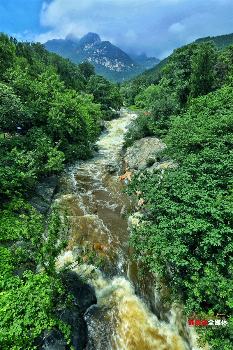 雨后泰山：群瀑争流 漫山清秀俊逸