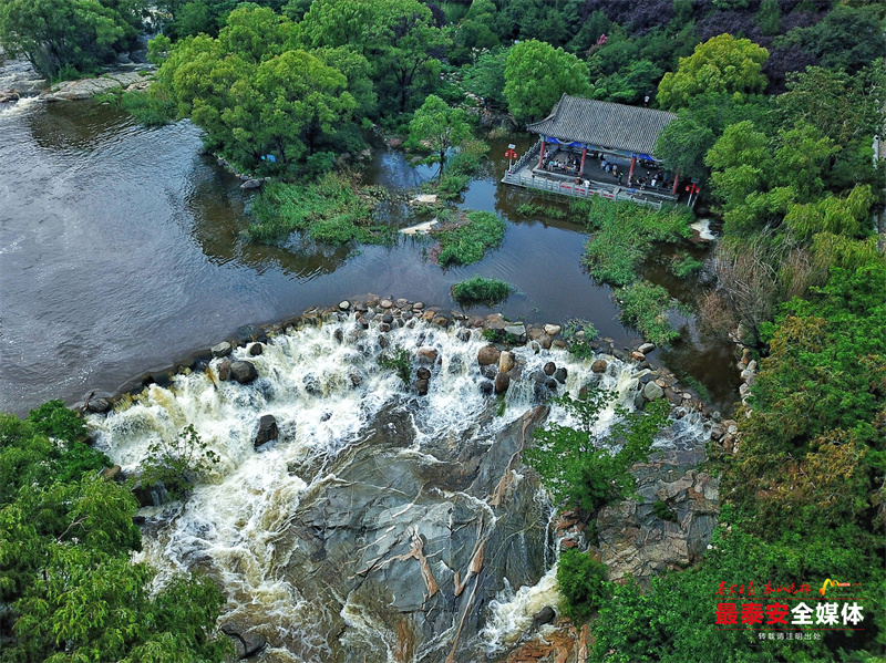 雨后泰山：群瀑争流 漫山清秀俊逸
