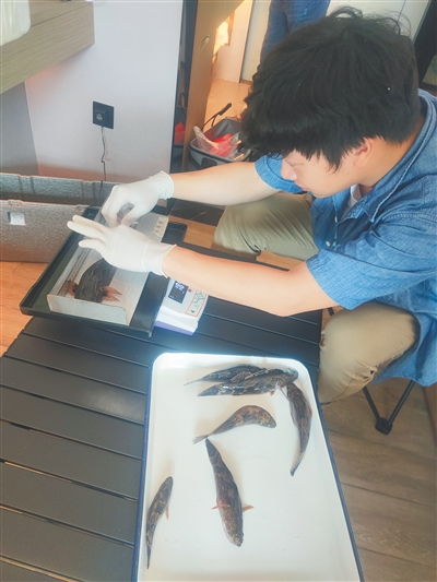 为河流做体检