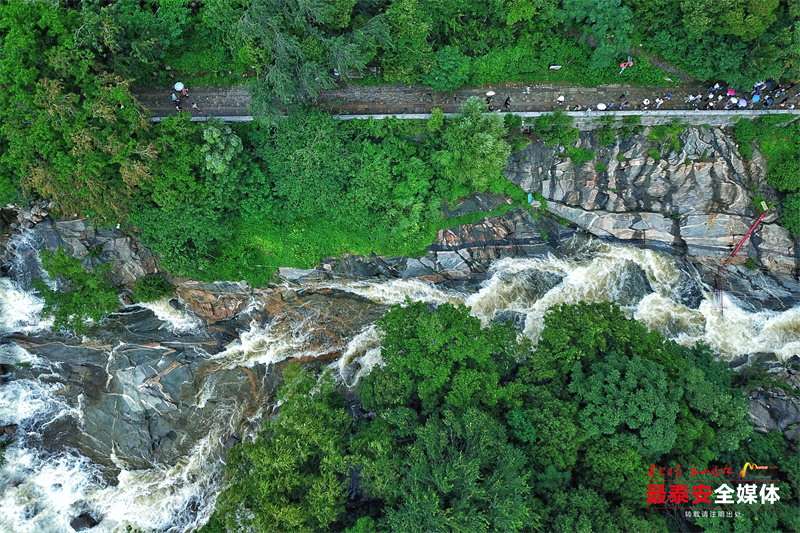 雨后泰山：群瀑争流 漫山清秀俊逸