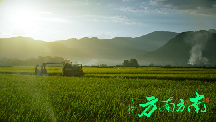 取景湖南崀山 电影《南方南方》入围第71届圣塞巴斯蒂安国际电影节_fororder_图片1