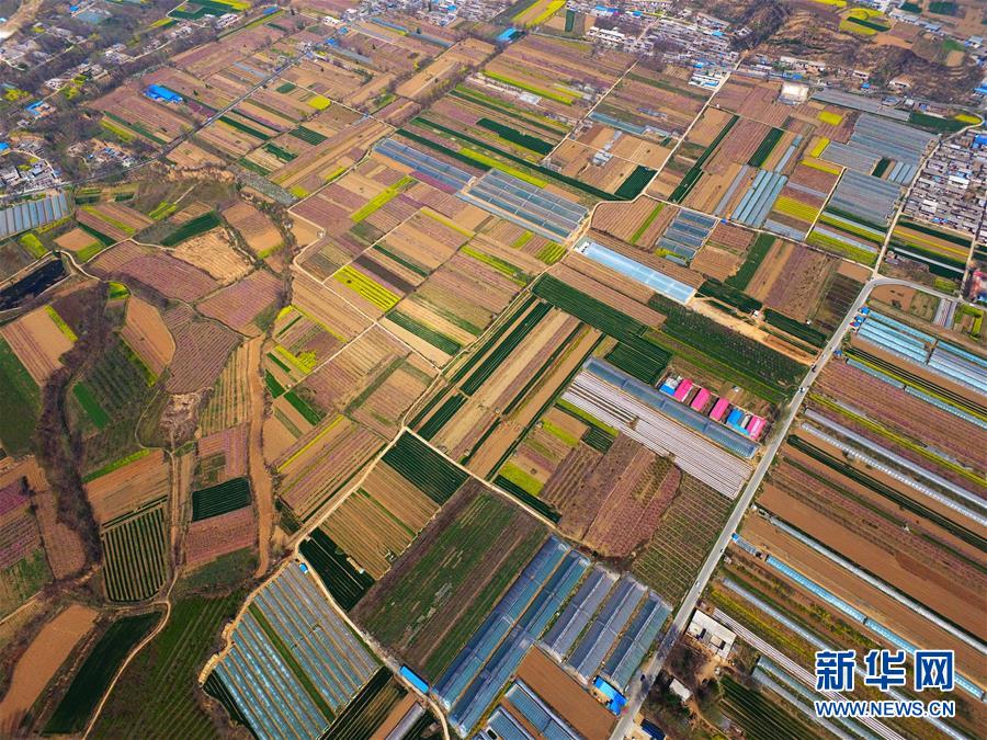 图片默认标题_fororder_1