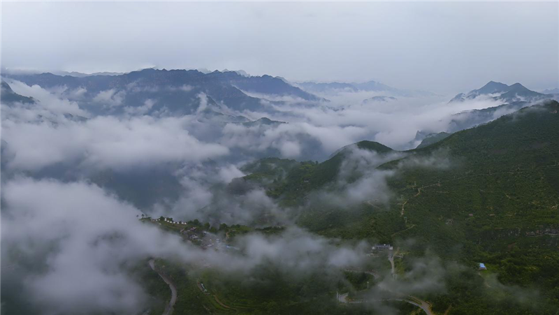 安阳林州：雨后太行山 云海美如画_fororder_图片13