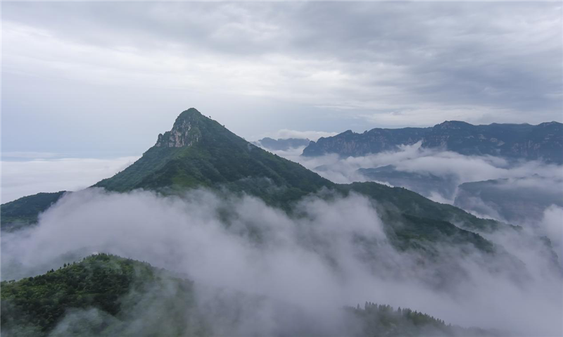 安阳林州：雨后太行山 云海美如画_fororder_图片11