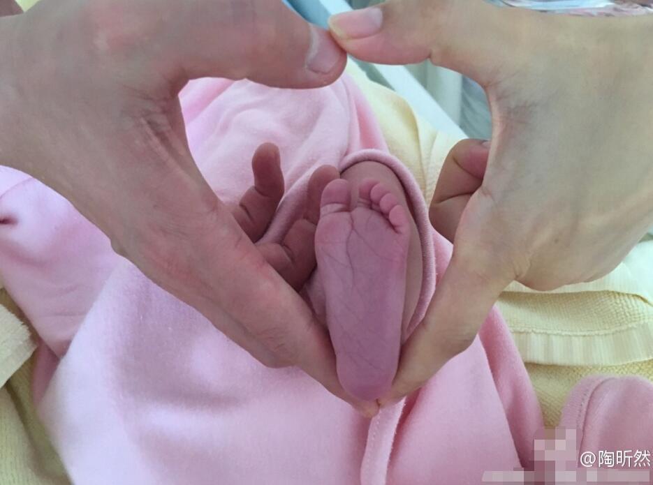 安小主生了！陶昕然报喜：有了软肋也有了铠甲