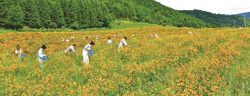 白山：做强绿色产业 加快建设践行“两山”理念试验区_fororder_吉林焦点6-6b91e3f6-b524-4bf7-bd6d-68035085984c
