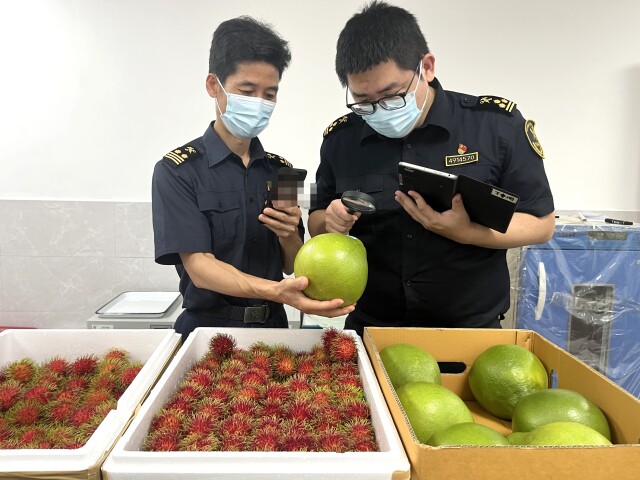 进口水果受青睐 前7月长沙机场口岸共进口各类水果906.84吨