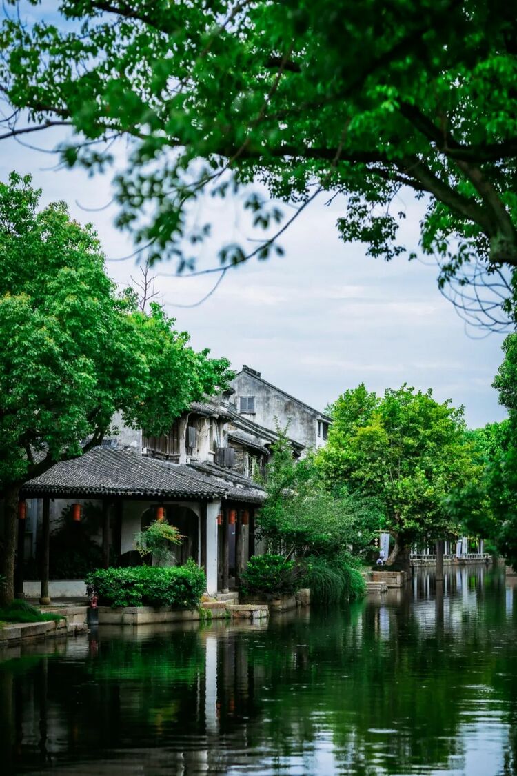 跟着“总台饕餮号”去吴江，尽享文化+美味