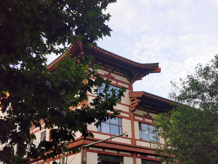 【Charming陕西】兴善寺西街
