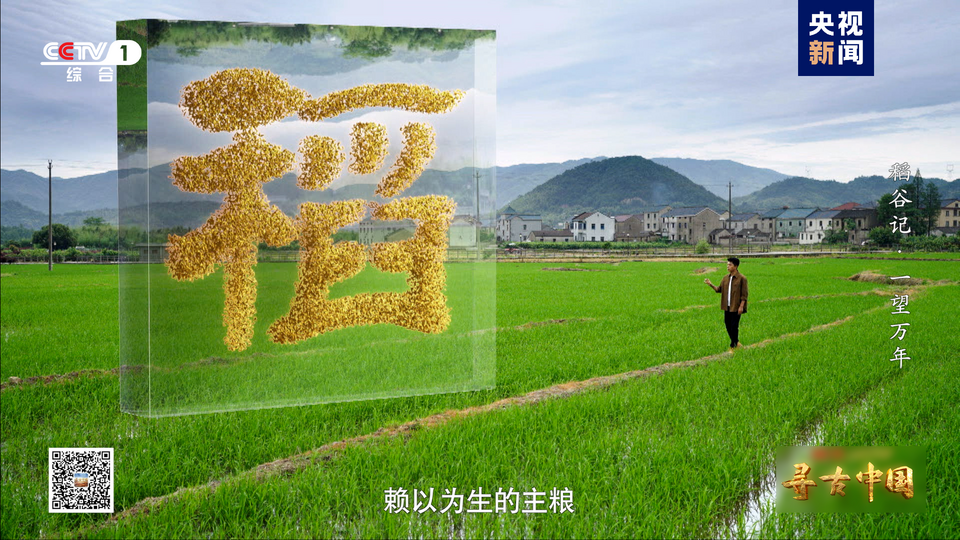 探秘稻作文明 《寻古中国·稻谷记》开播