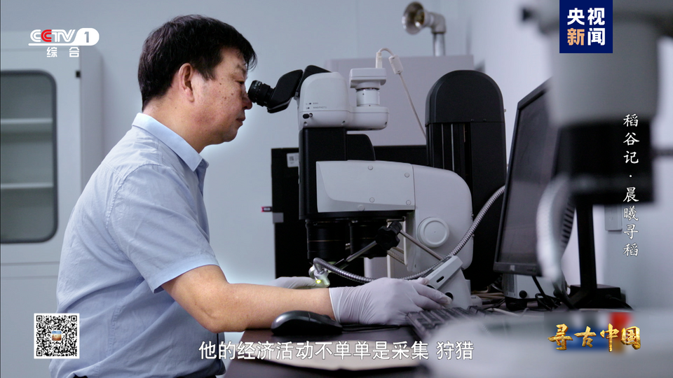 探秘稻作文明 《寻古中国·稻谷记》开播
