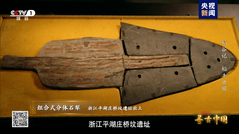 探秘稻作文明 《寻古中国·稻谷记》开播
