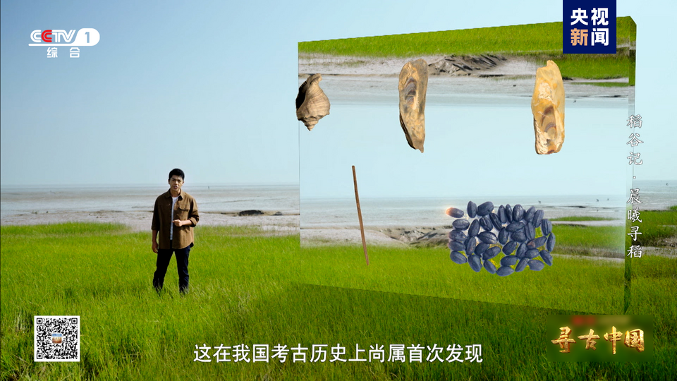 探秘稻作文明 《寻古中国·稻谷记》开播