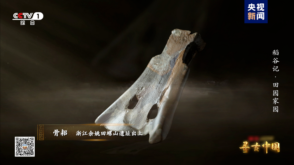 探秘稻作文明 《寻古中国·稻谷记》开播