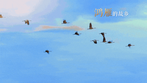 以“天空视角” 看青山绿水内蒙古