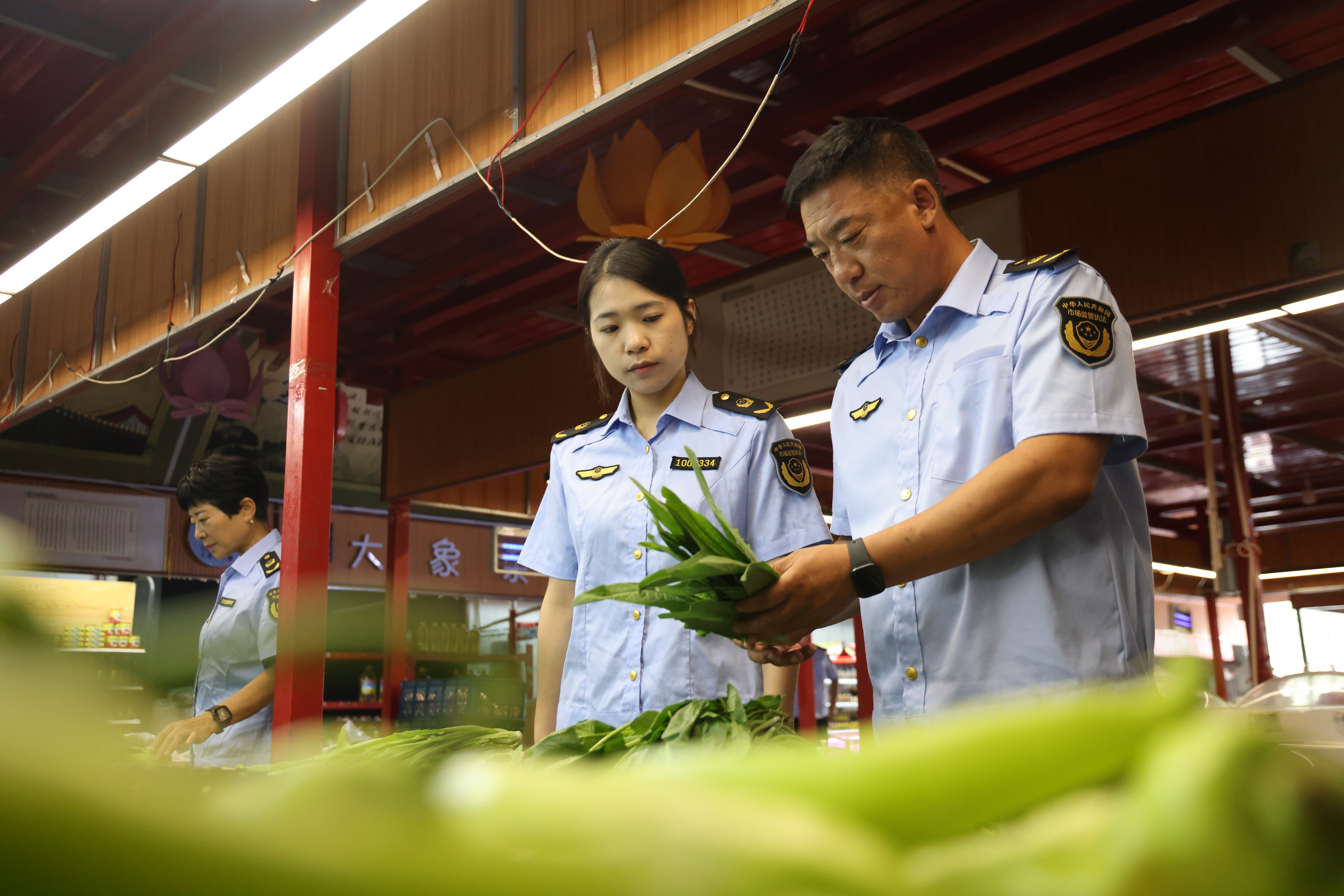 图片默认标题_fororder_1.JPG