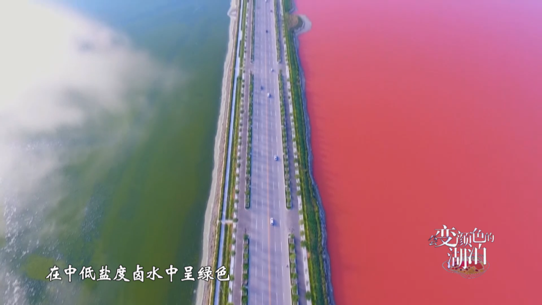 《会变颜色的湖泊》揭秘运城盐湖成因与颜色之谜