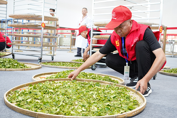 40名制茶能手同台竞技 第六届全国茶业职业技能竞赛宜宾选拔赛开幕_fororder_手工制作技能竞赛现场-摄影-高学兵