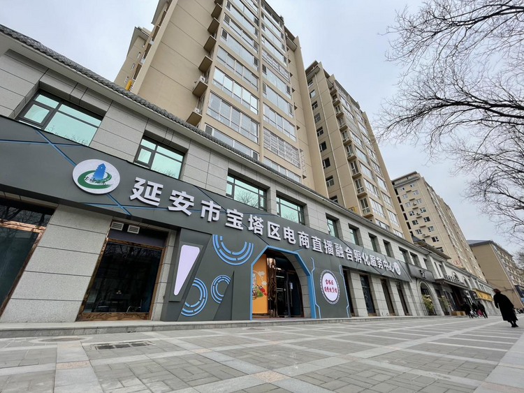 三秦潮起新征程 “数字延安”弄新潮_fororder_图片4