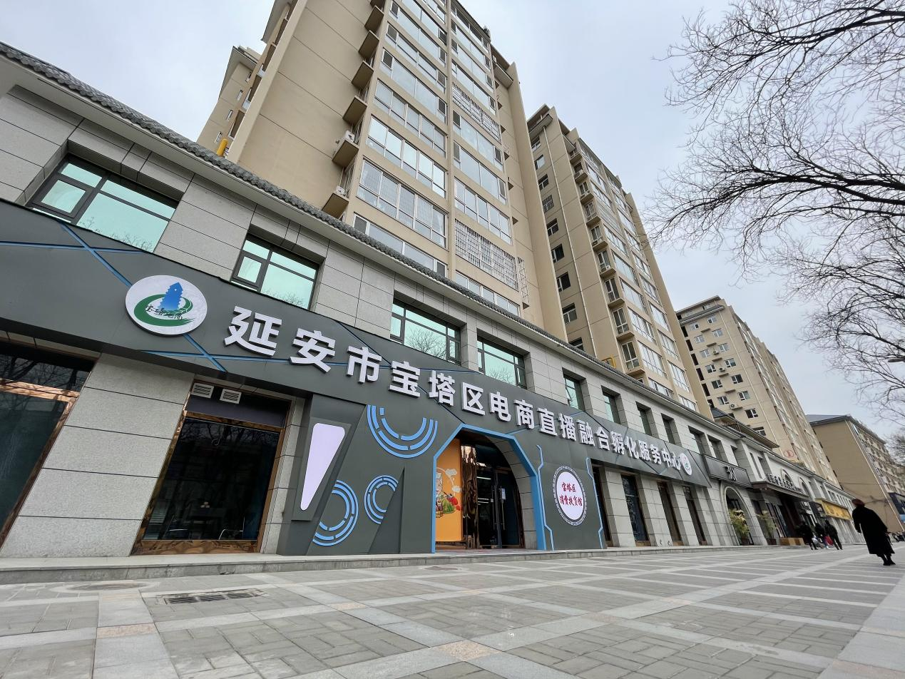 三秦潮起新征程 “数字延安”弄新潮_fororder_图片4