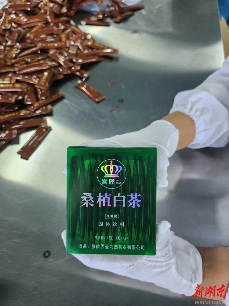 走出国门，“飘香”世界！湖南“桑植白茶”实现首笔出口订单