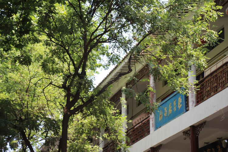 【CharmingShaanxi】文墨飘香 在书院门中品翰墨长安_fororder_图片2