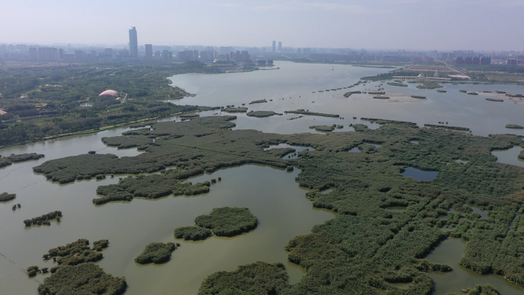 行走中国湿地城市｜银川阅海：水风清、鸟翩跹，且以诗意赋山“海”
